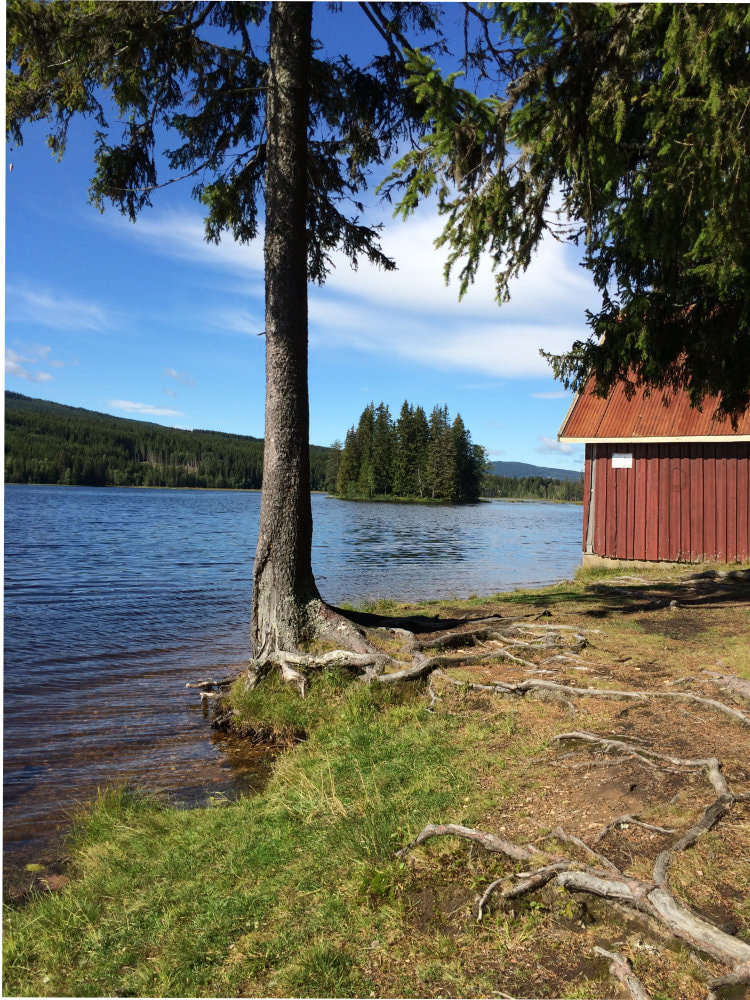 View of a lake with a red wooden shed on the side during a beautiful sunny day in Norway.