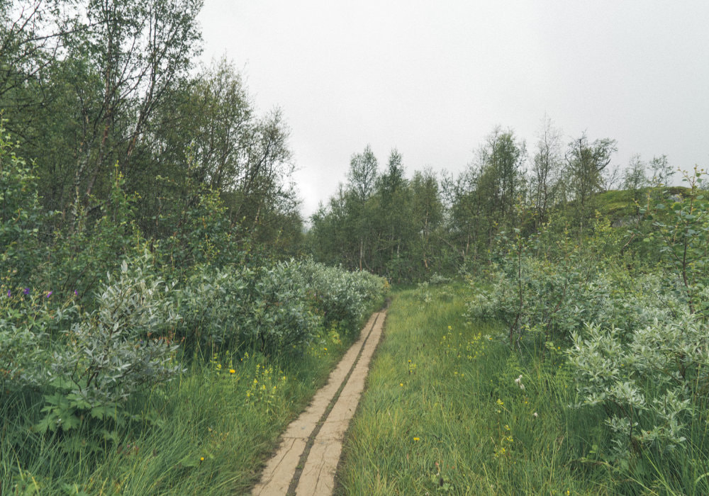 Hiking path in Hardangervidda Norway, surrounded buy greenery, while the sky was covered in clowds.