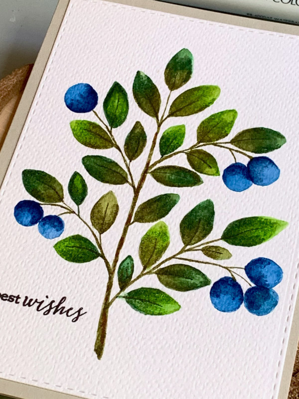 A handmade card with a blueberry branch that is hand drawn and painted using waterbased markers and a greeting stamped in black saying Best Wishes. 