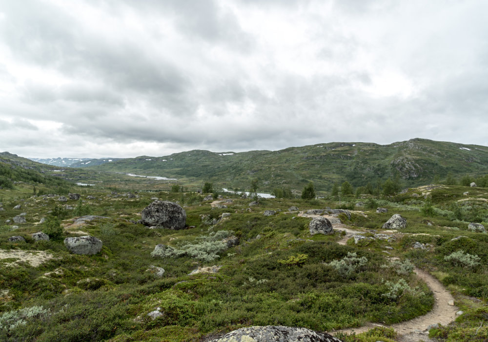 Beautiful landscape of Hardangervidda in Norway during a cloudy day.