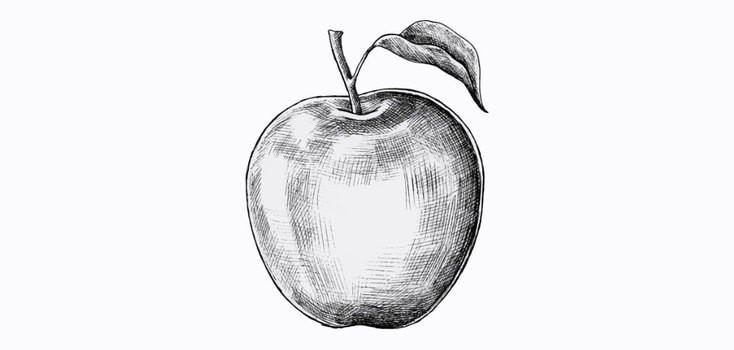 Sketch of an apple
